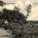 Ahrensburg - Partie im Moor