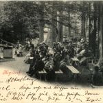 Gruss aus Kipsdorf