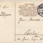 Geburtstag - Schwein