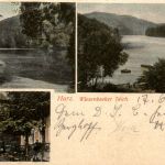 Bad Lauterberg - Wiesenbeeker Teich