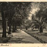 Aschersleben - Herrenbreite