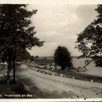 Plau i. Meckl. - Promenade am See