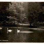 Lahr - Partie im Stadtpark