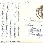 Steiermark/div. Orte - Sommerfrische Wenigzell, div. Bilder