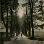 Partie undter den Linden Wechselburg