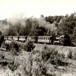 Schmalspurbahn Putbus - Göhren