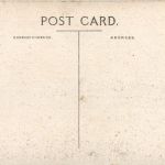 Jersey - Anne Port Gorey