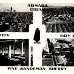 Jerez de la Frontera - Fine Sandman Sherry
