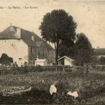 Chissey - Les Exoles