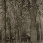 cozes - Le Jardin public