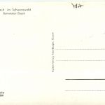 Schwarzwald, Freiburg i.B. und div.Orte mit Umgebung - Yach, Bahnstation Elzach