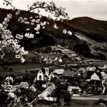 Schwarzwald, Freiburg i.B. und div.Orte mit Umgebung - Glottertal - Gasthof und Pension zum Hirschen