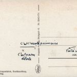 Schwarzwald, Freiburg i.B. und div.Orte mit Umgebung - Waldkirch
