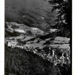 Schwarzwald, Freiburg i.B. und div.Orte mit Umgebung - Waldkirch im Elztal mit kastelburg und Kandel