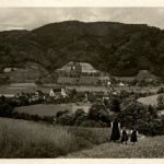 Ba-Wü/Schwarzwald/Freiburg/div.Orte und Umgebung - Blick vom Silbergrübli ins Glottertal