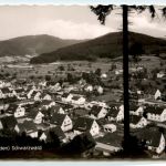 Ba-Wü/Schwarzwald/Freiburg/div.Orte und Umgebung - Elzach, Schwarzwald