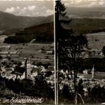 Ba-Wü/Schwarzwald/Freiburg/div.Orte und Umgebung - Elzach, Schwarzwald