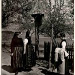 Ba-Wü/Schwarzwald/Freiburg/div.Orte und Umgebung - Bäuerinnen aus der Gegend St. Peter