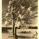 Ba-Wü/Schwarzwald/Breisgau/div. Orte und Umgebung - Schauinsland, Hotel Burggraf, Kirchzarten