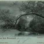 Gruss aus dem Grunewald