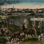 Gruss aus Weil im Schönbuch