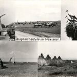 Burgenlandidylle im Seewinkel
