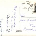 Burgenlandidylle im Seewinkel