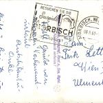 Segelpartie am neusiedlersee