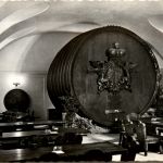 Eisenstadt, Weinkosthalle