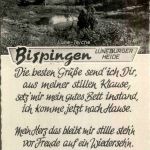 Bispingen - Luhe Teiche
