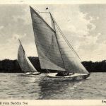 Gruss vom Seddin See - Segelsport