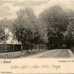 Nedlitz in Anhalt - Forsthaus mit Waldpartie