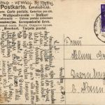Nedlitz in Anhalt - Forsthaus mit Waldpartie