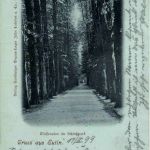 Gruss aus Eutin - Wasseralle im Schlosspark