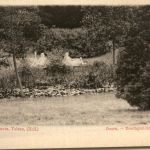 Doorn - Boschgezicht
