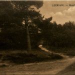 Leersum - Boschkiekje