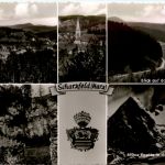 Scharzfeld/Harz