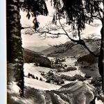 Menzenschwand