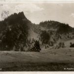 Tennemooskopf