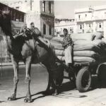 Karachi - Camel Cart