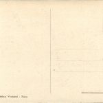 Siena - Bue della campagna senese