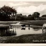 Ouddorp - In de Westduinen
