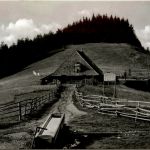 Münstertal - Almgaststätte Kälbelescheuer