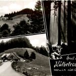 Münstertal - Almgaststätte Kälbelescheuer