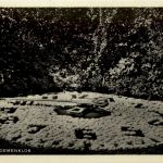 Alkmaar - Bloemenklok