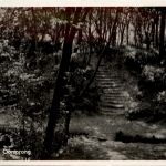Schoorl - De Oorsprong