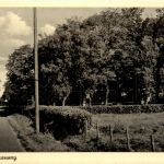 Schoorl - Laanweg