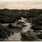 Schoorl