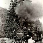 Schmalspurbahn Freital-Hainsberg Kipsdorf g