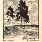 Künstlerkarte Otto Ubbelohde